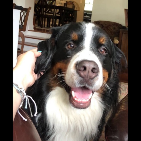 Meet your Posher, Samantha - Picture 1 of 1